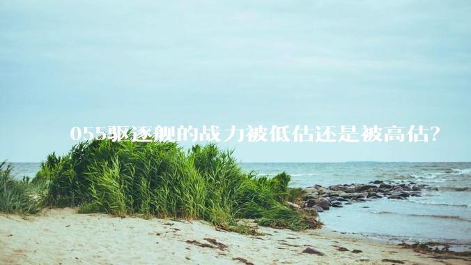 055驱逐舰的战力被低估还是被高估？